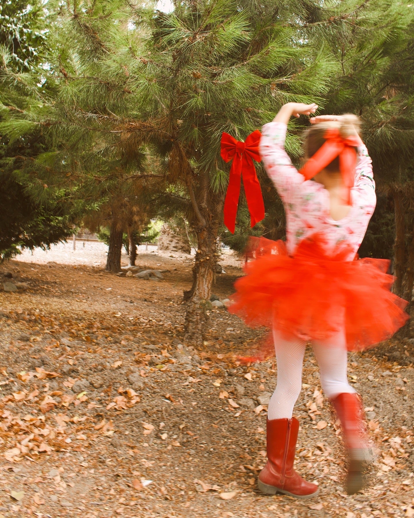 Nutcracker tutu