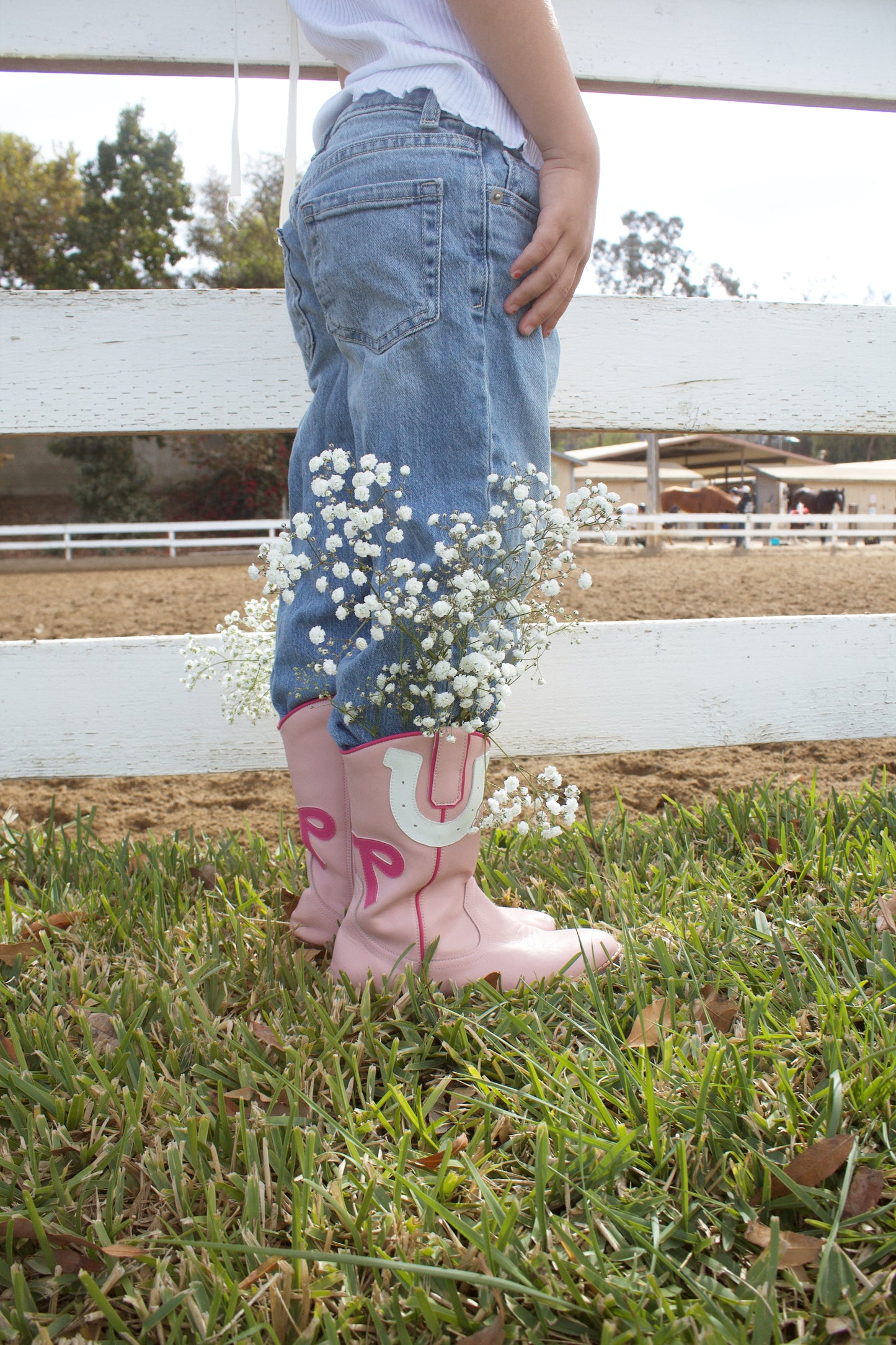 Safe Haven Signature boots
