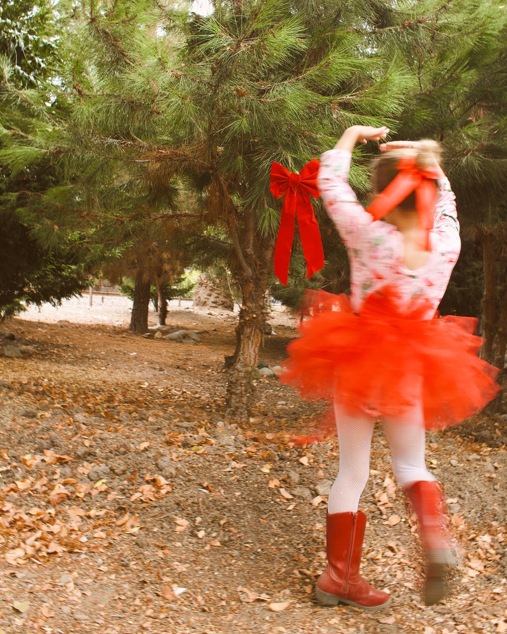 Nutcracker tutu