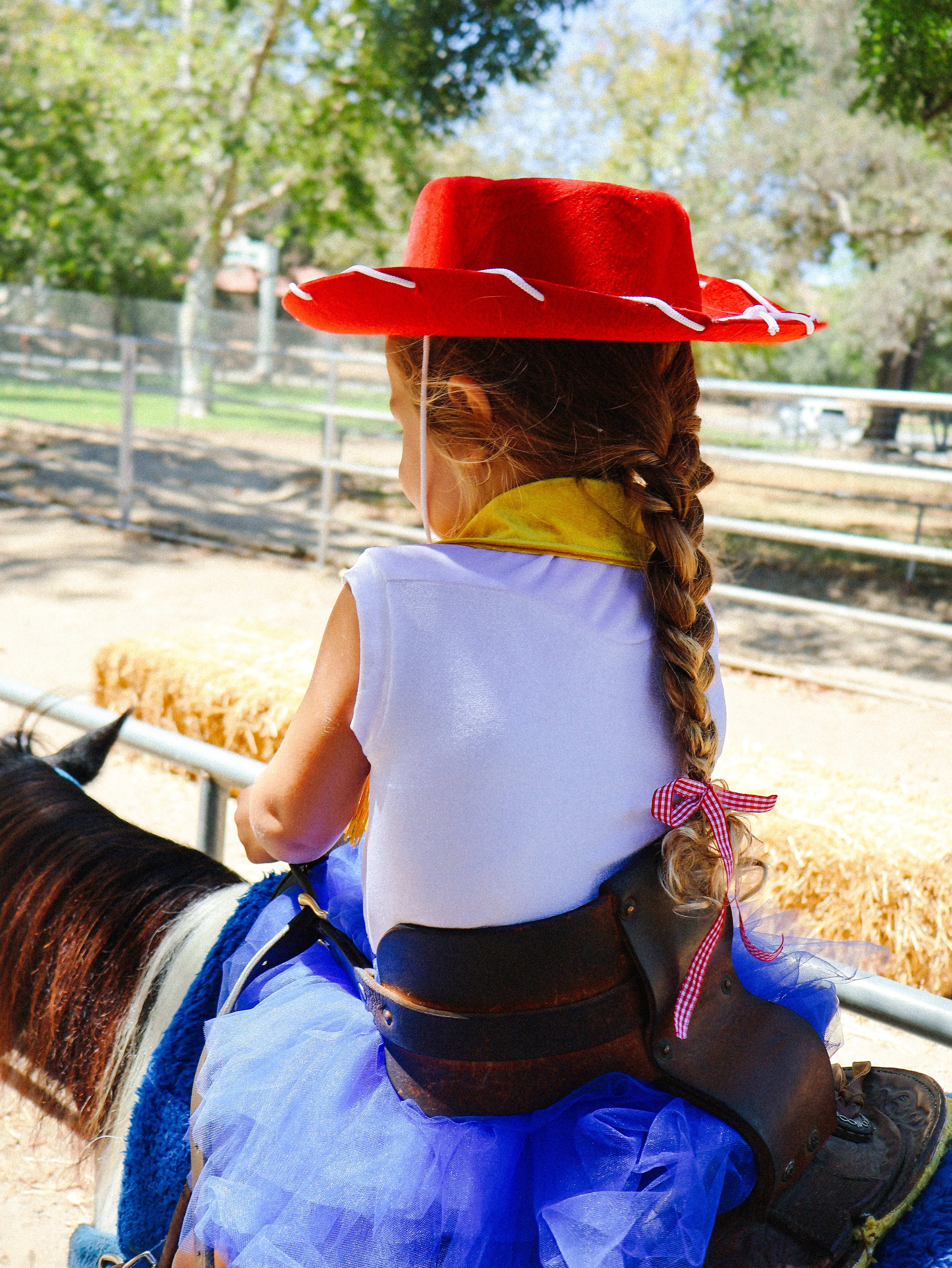 Jessie Cowgirl Hat
