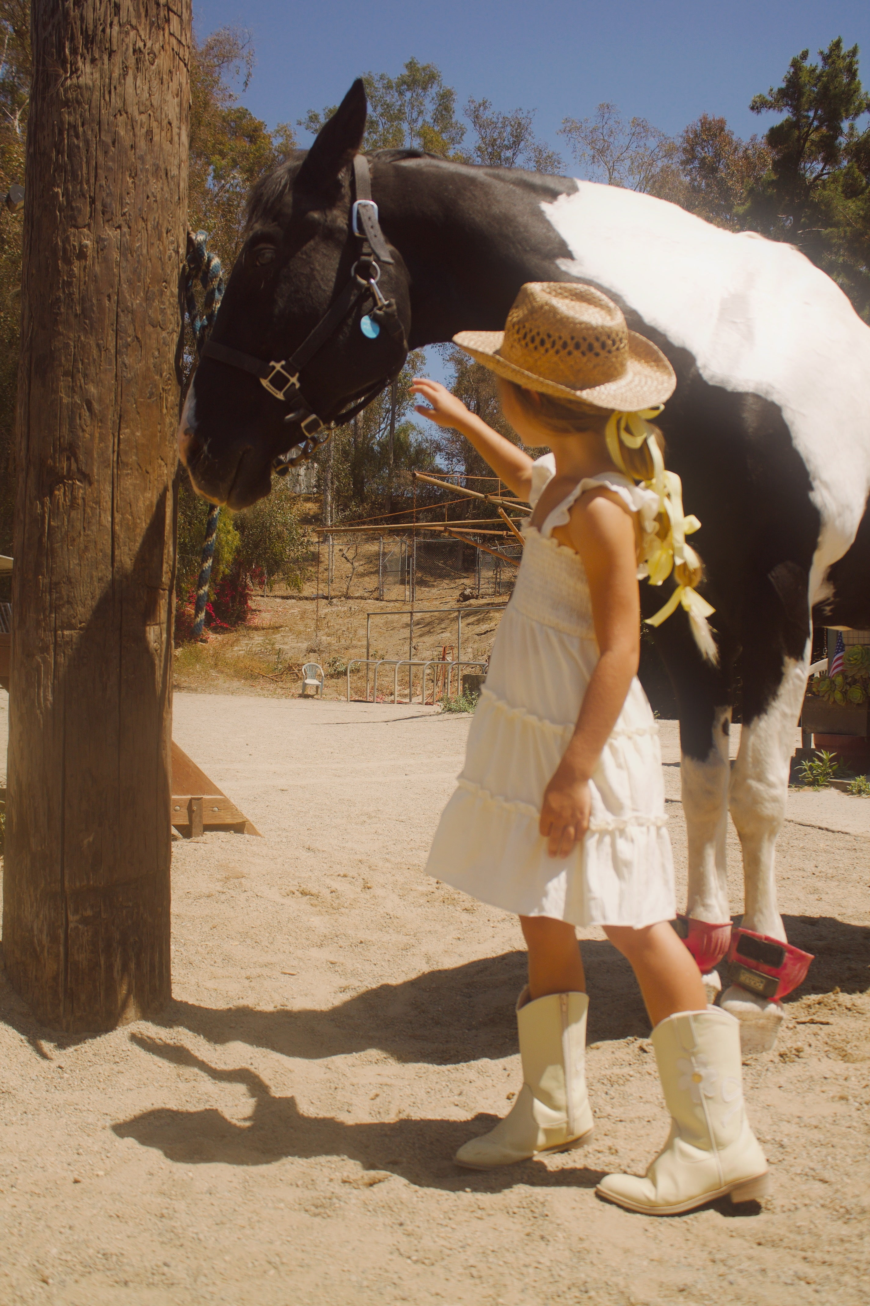 Toddler girl wearing butter yellow cowgirl boots with white bows and daisy accents with a horse– Safehaven Chasing Daisies collection