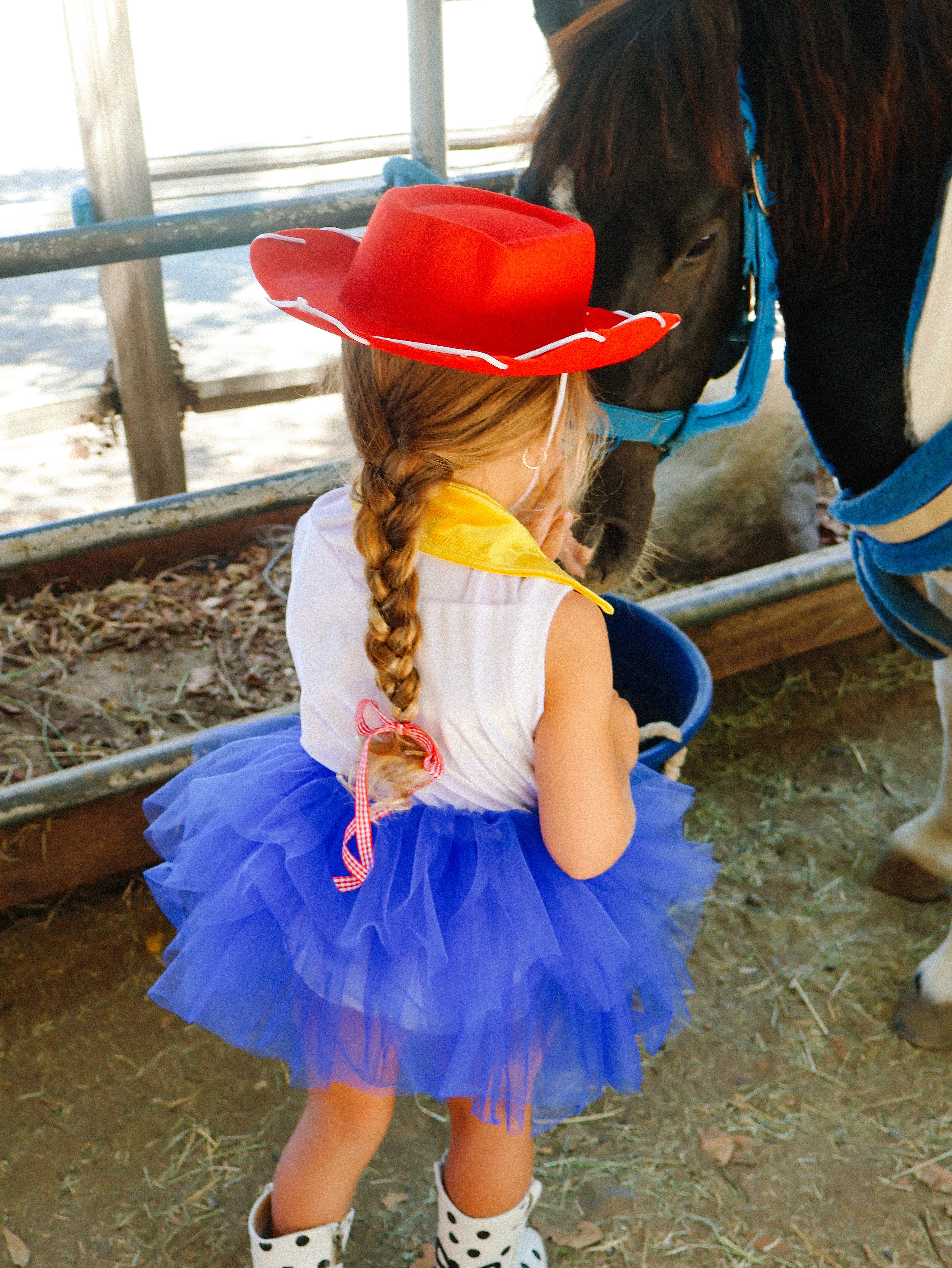 Cowgirl Jessie Inspired Tutu | Western Fringe Birthday Dress-Up Skirt | Girls Halloween Costume