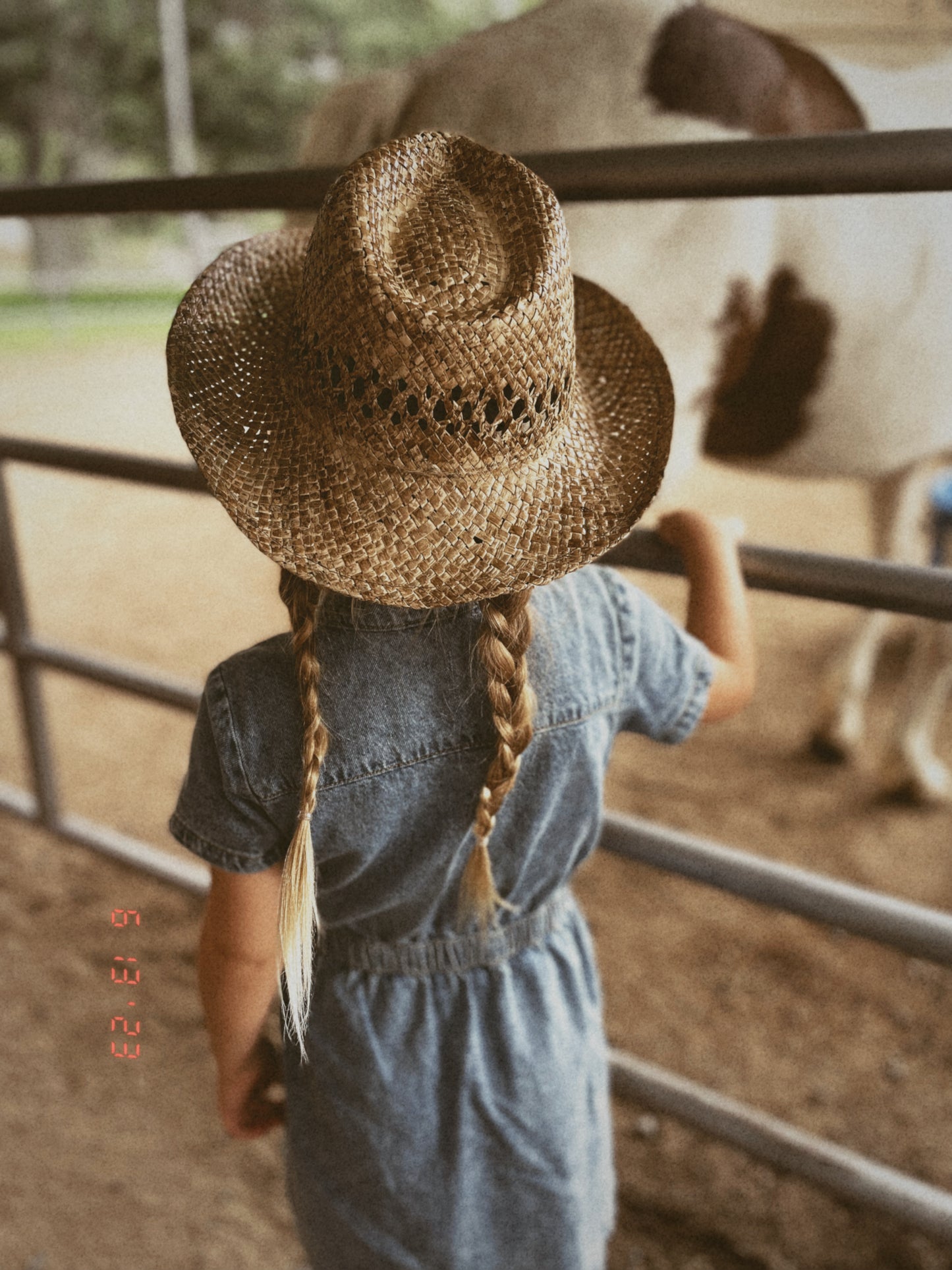 Cowgirl Hat