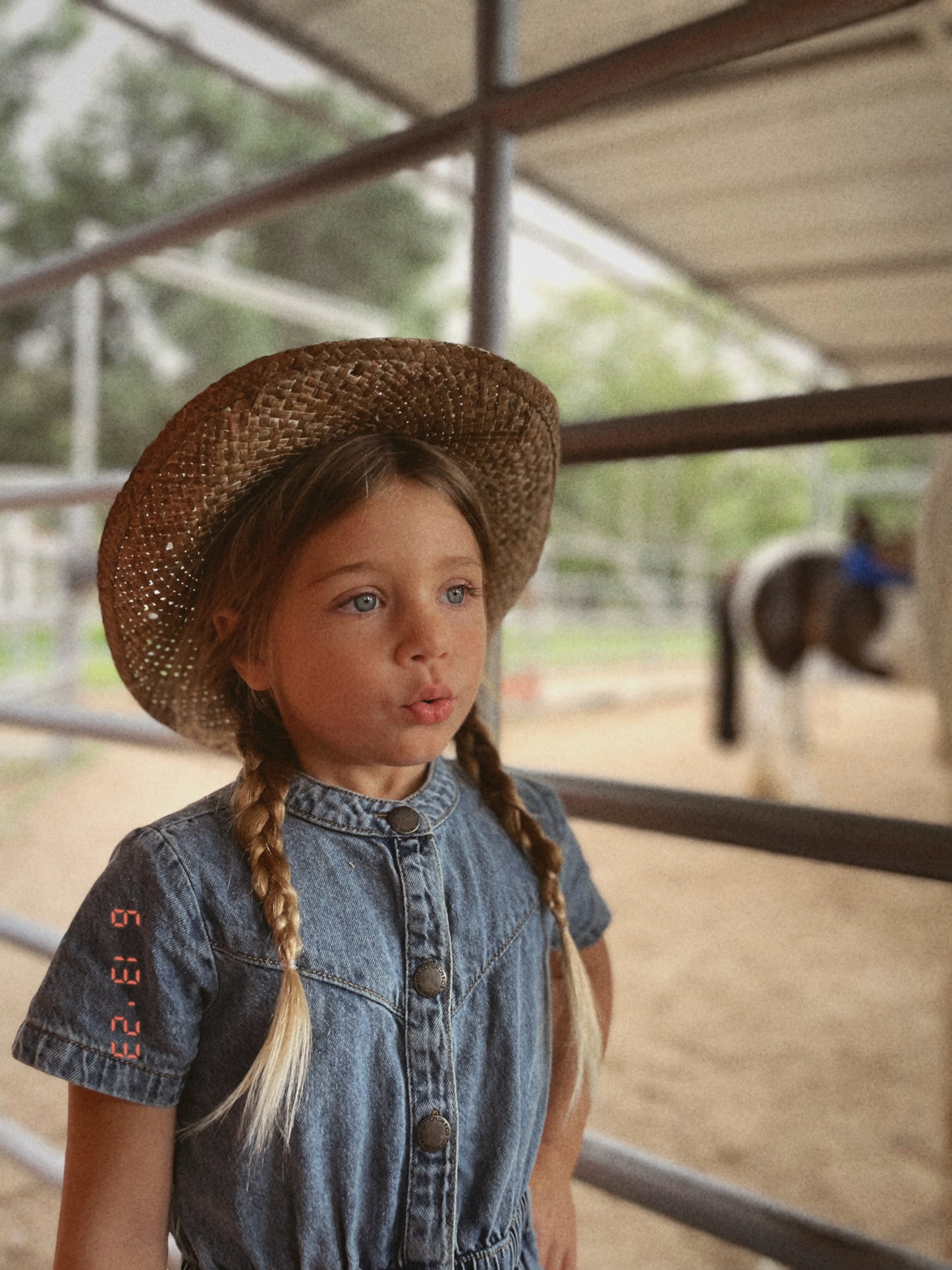 Cowgirl Hat