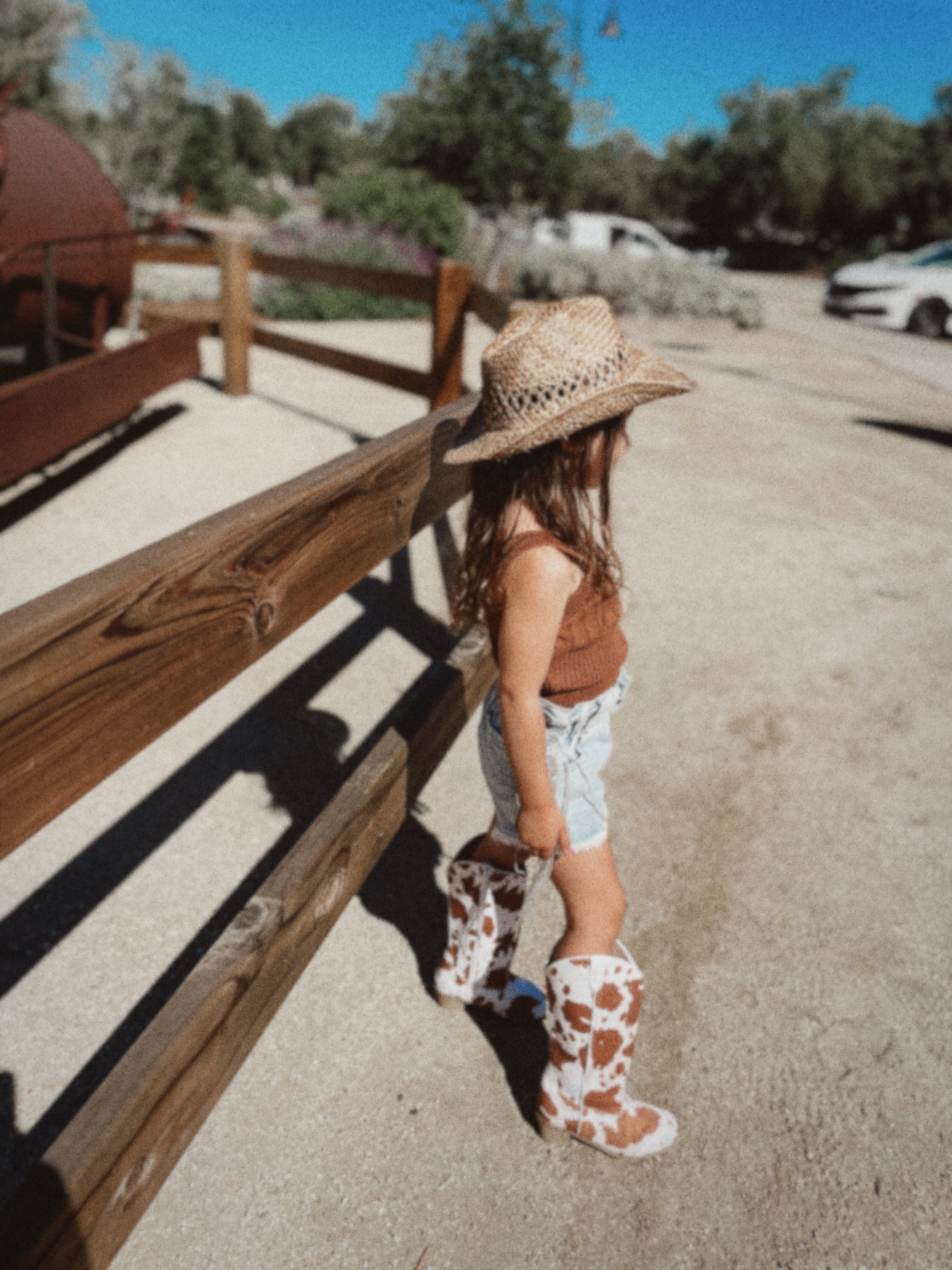 Cowgirl Hat